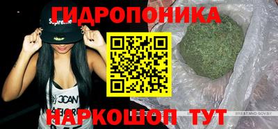 apvp Заводоуковск