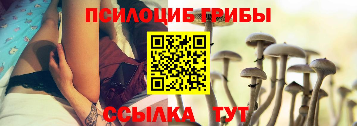 Саратов  купить  сайты  Галлюциногенные грибы Cubensis  Вход с VPN  Псилоцибиновые грибы GOLDEN TEACHER 